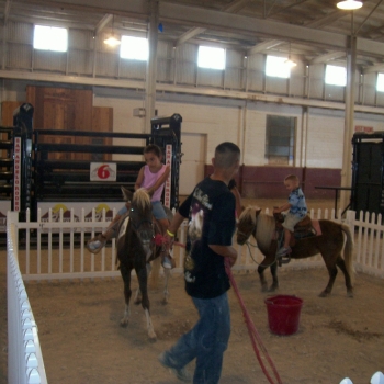 Pony Rides