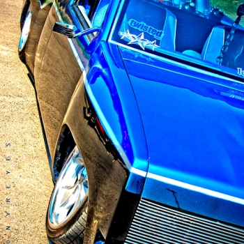 DSC 41382